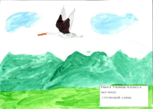 27.Стручкова-Алина-3-Б-класс-МОУ-ЧНОШ